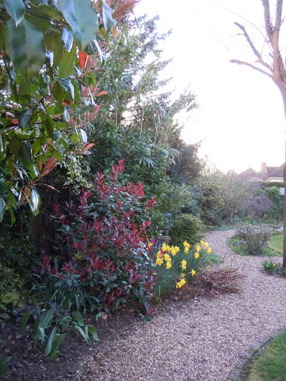 garden